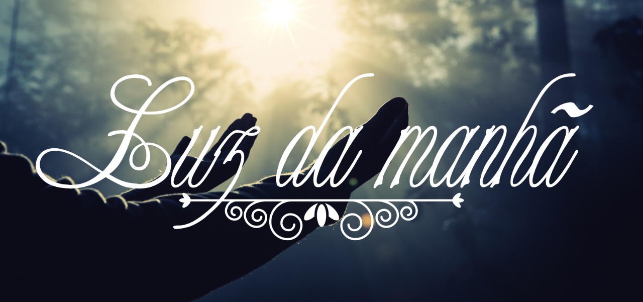 WhatsApp Image 2025-07-02 at 20.38.13 (1)