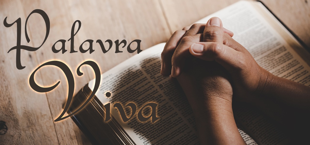 WhatsApp Image 2025-07-02 at 20.38.13 (3)